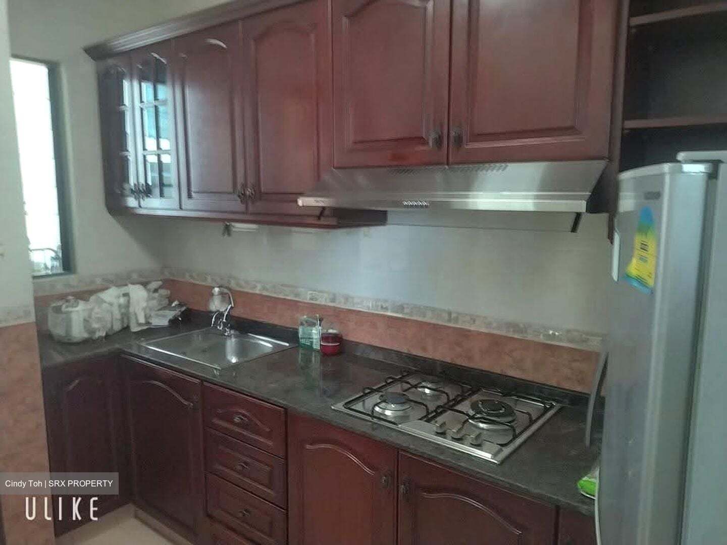 Tanglin Regency (D10), Condominium #604399591
